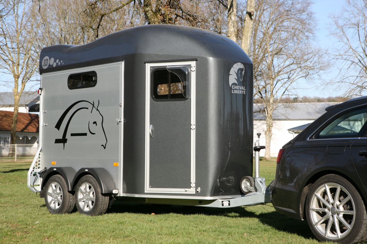 VAN CHEVAL LIBERTE GOLD 3
