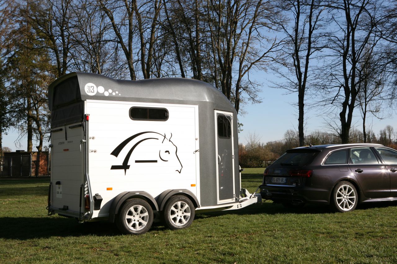 VAN CHEVAL LIBERTE GOLD 3