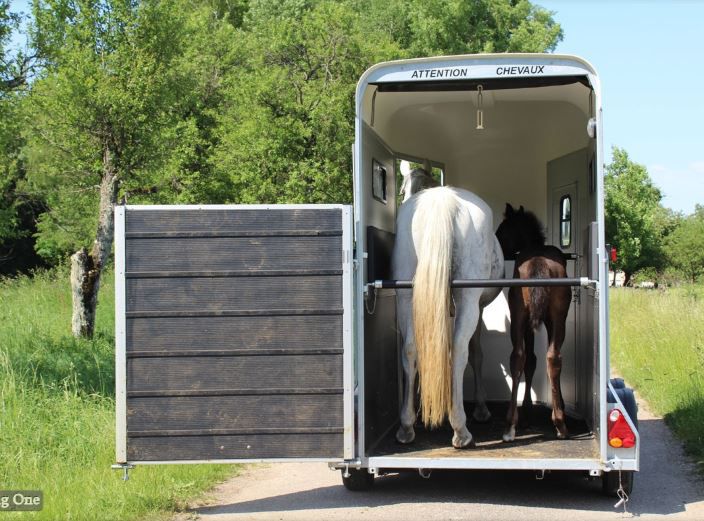 CHEVAL LIBERTE – 1.5 PLACE – TOURING ONE